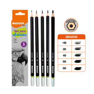 SET DE LAPICES PARA ARTISTAS (5PZS.)